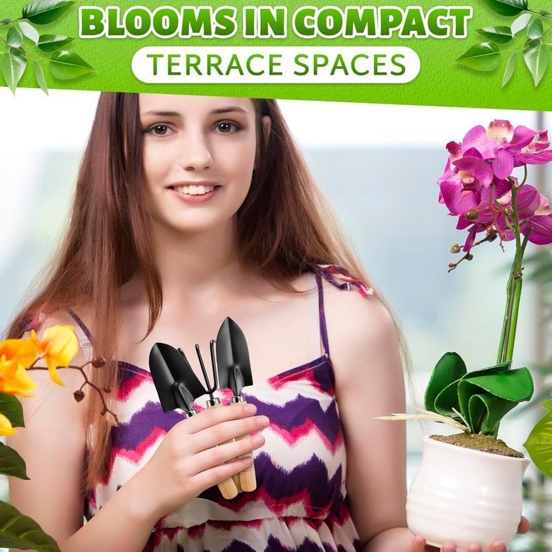 DIMROM Small Garden Tools - 3 Pcs Mini Garden Tools Set with Small Trowel, Mini Shovel & Hand Rake Made of Rust-Resistant Iron & Solid Wood - Indoor Gardening Tools Set for Succulent, Bonsai & Pot Plants - Image 5